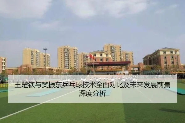 王楚钦与樊振东乒乓球技术全面对比及未来发展前景深度分析（LEYU SPORTS）